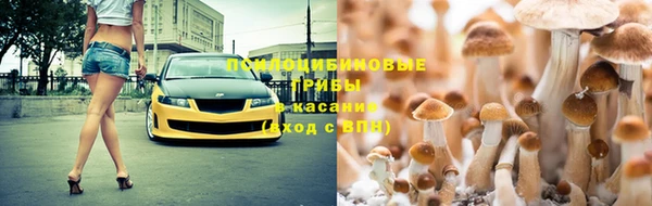 тгк Зеленодольск